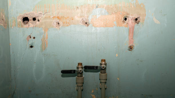 Best Basement water damage restoration  in USA